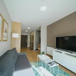 Apartment Silence Triventi Z Widokiem Na Sniezke *