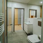 Apartment Silence Triventi Z Widokiem Na Sniezke Karpacz